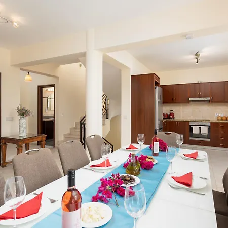 Galina فيلة نيو تشوريو